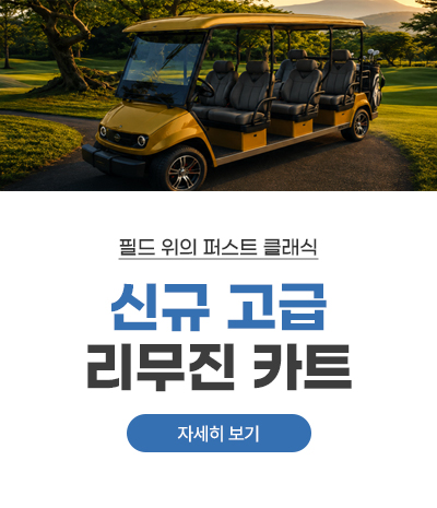 신규 고급 리무진 카트
